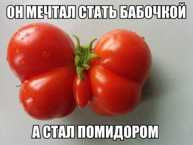 Что выросло, то выросло!