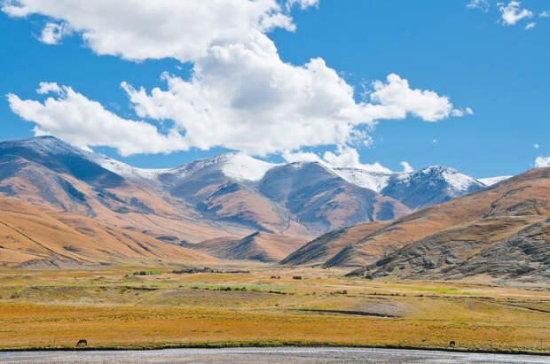 shutterstock_101972269-.jpg