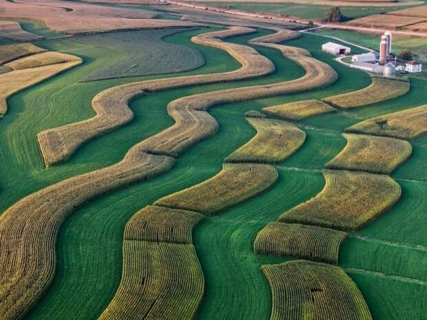 Причудливые узоры на ферме, Висконсин осень, сбор урожая