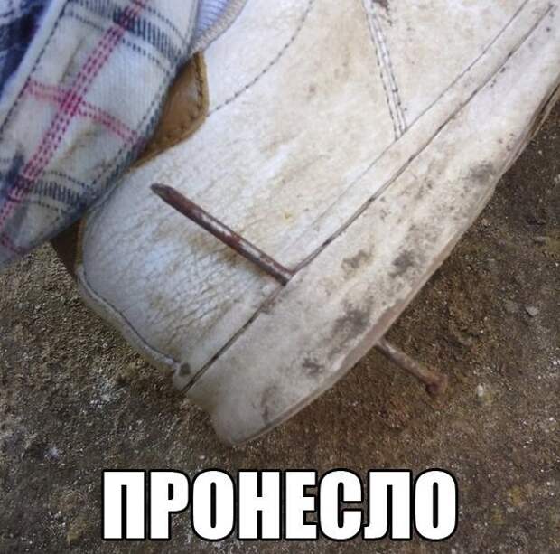 Смешные картинки с надписями прикол, юмор