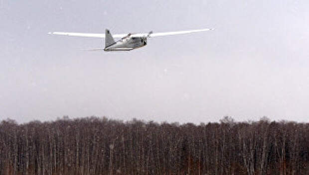 Беспилотный летательный аппарат (БПЛА). Архивное фото