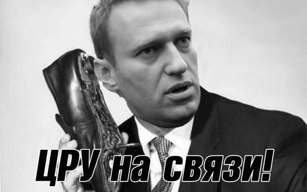 Гаспарян отреагировал на слова экс-директора ЦРУ про Навального