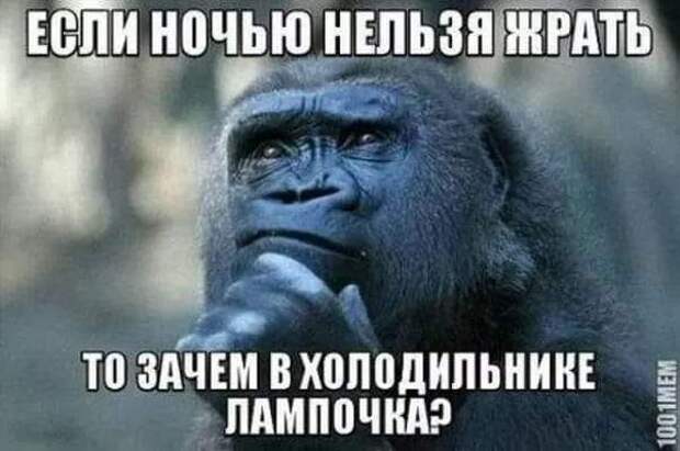 На селе открылась служба знакомств по телефону. - Алло, девушка?...