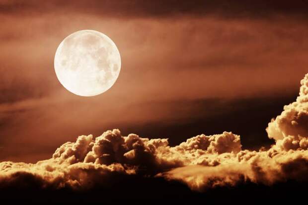 Цветочная Луна в Стрельце: категорические запреты и необходимые дела