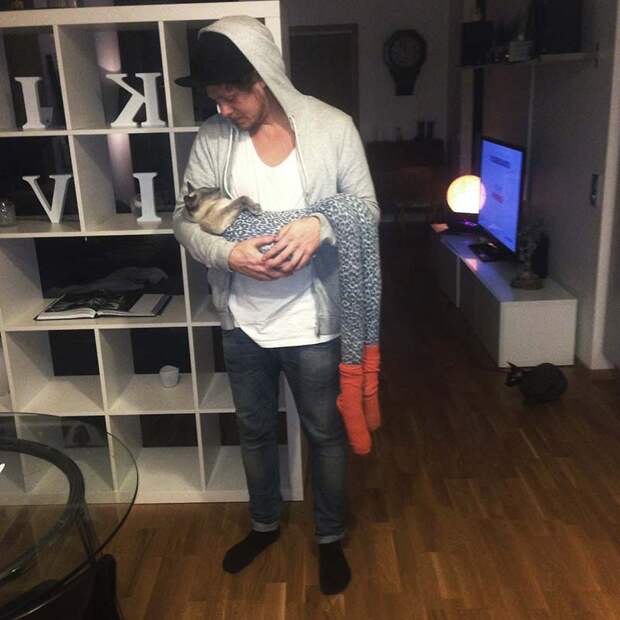 koshkavkolgotkax 5 Мем: Кошка в колготках