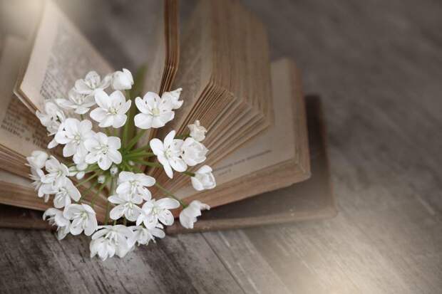 библиотека расскажет о поэтах-фронтовиках. Фото: pixabay.com alt