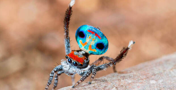 6009bee727db9b92a00977066aa7fb6f