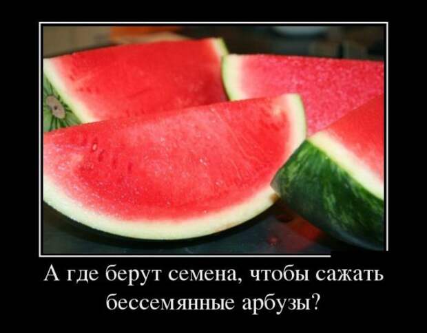 Подборка забавных и смешных демотиваторов со смыслом (11 фото)