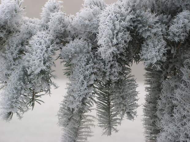 25 потрясающих ледяных скульптур, созданные самой природой зима, лед, природа, скульптура