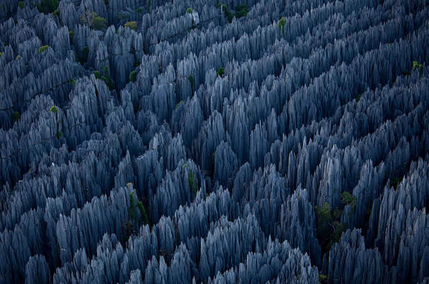 meZfloG Каменный лес на Мадагаскаре