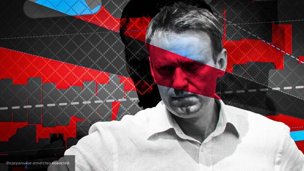 Члены ФБК собирают деньги на "избирательные кампании" по схеме Навального 