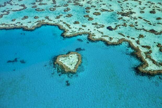 Самым большой на Земле природный объект, образованный живыми организмами - Большой Барьерный риф, 2300 км в длину австралия, доказательство, животные, мир, природа, туризм, фотография