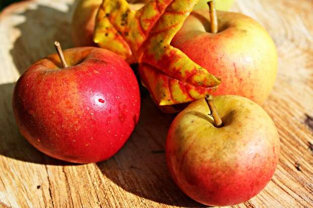 Яблоки, выращенные в черте города, опасны для здоровья/pixabay.com