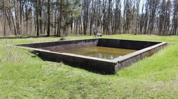 Бассейн в комплексе Вервольф