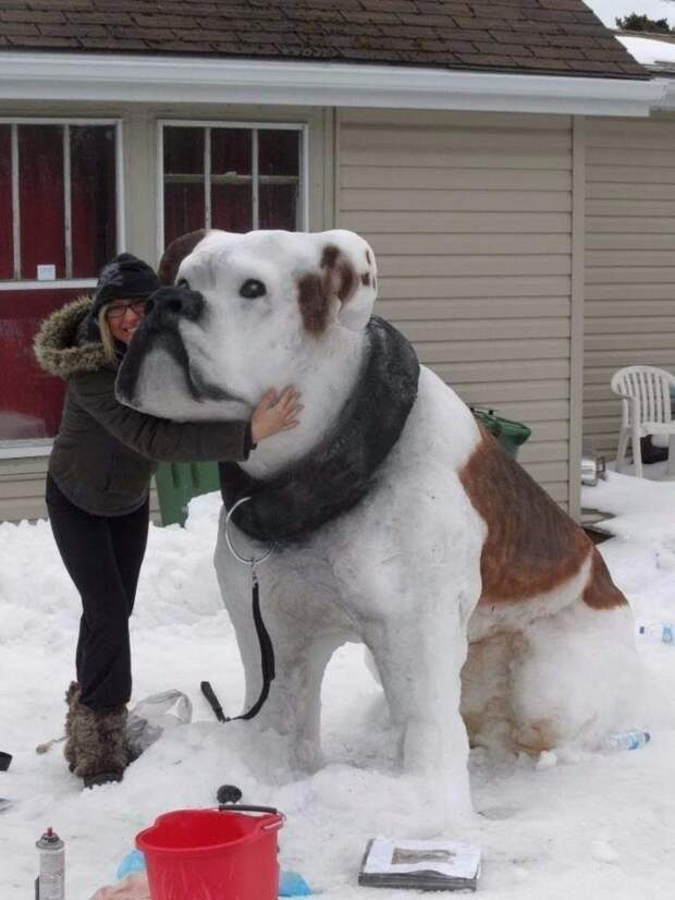 Вот так собака из снега! Вот это шедевр! Оцените старания.)