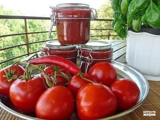 10 заготовок из томатов на зиму