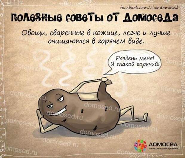 полезные советы от домоседа, полезные советы, советы на все случаи жизни