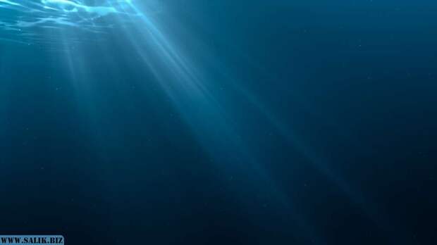 Тайны подводных глубин