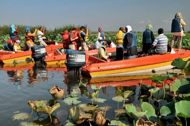 Лагуна Энзел в Каспийском море
