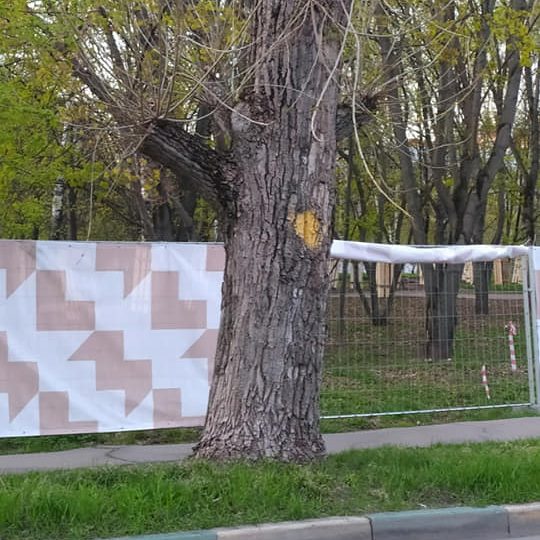 В сквере на улице Берзарина вырубать деревья не будут