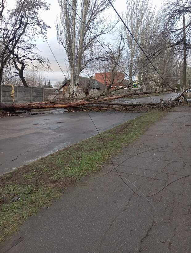 Упало дерево на пересечении Рослого- Оборонная, провода обви