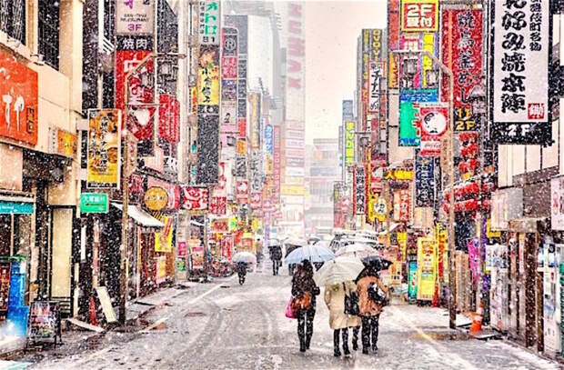 Первый снег... с 1962 года токио, юмор, япония