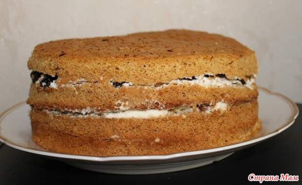 Торт Медовик со сметанным кремом и черносливом.