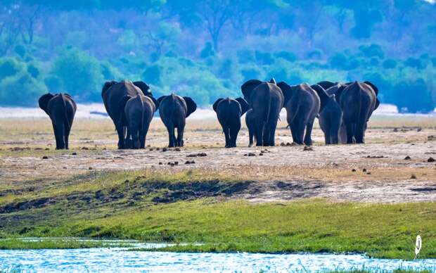 Фото: Julie Zoney / flickr.com