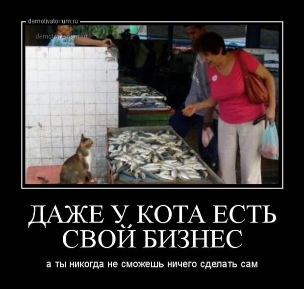 Подборка смешных и веселых демотиваторов со смыслом (11 фото) Подборка смешных и веселых демотиваторов со смыслом (11 фото)