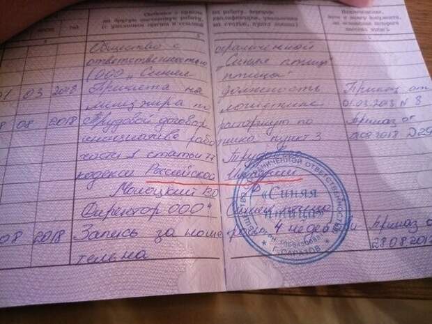 С такими документами в отделе кадров не заскучаешь! С такими документами в отделе кадров не заскучаешь!