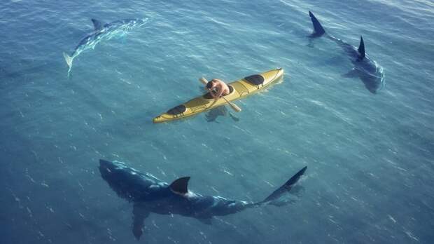 Выжить 440 дней в открытом море