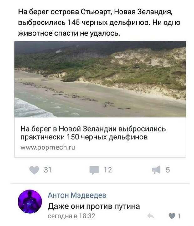 Александр Роджерс: Армия ботов атакует Россию Александр Роджерс: Армия ботов атакует Россию