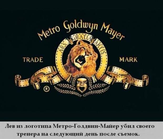 Интересные факты в картинках