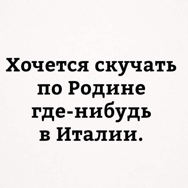 Прикольные картинки с надписями для поднятия настроения (11 фото)