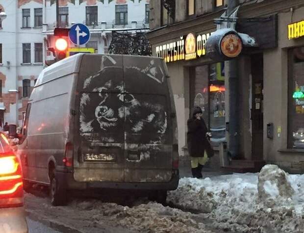 Прикольные картинки