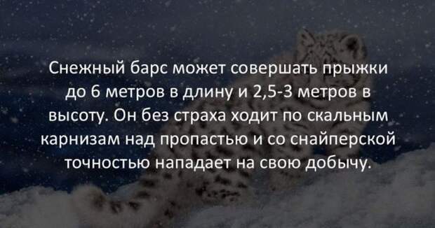 Интересные факты (40 картинок)