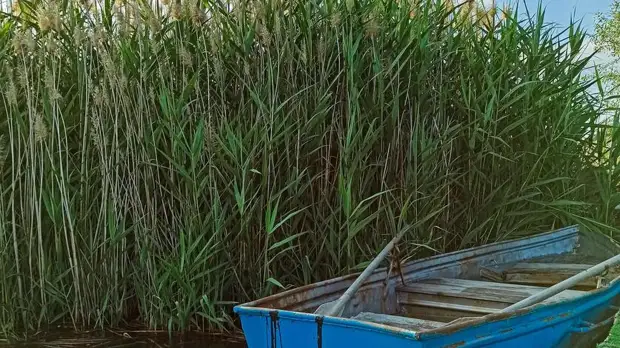 Пропавший в феврале отец двоих детей найден мертвым в Ростове в апреле