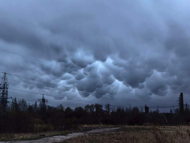 Редкие облака мамматус заметили над Петербургом