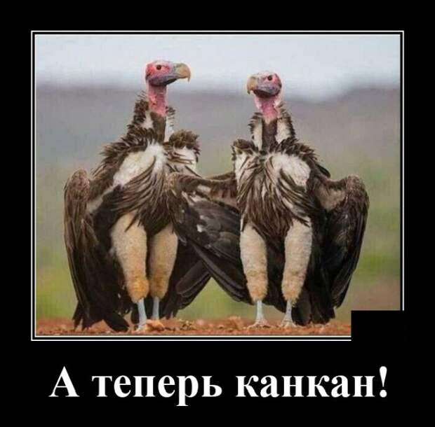 Демотиваторы 10 июня 2021