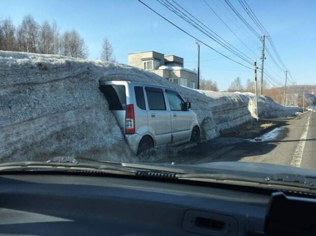 Подснежник.