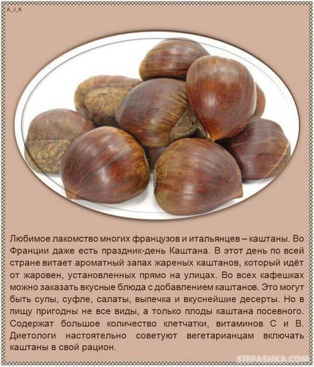 101540833335333nuts_02 (597x700, 104Kb)
