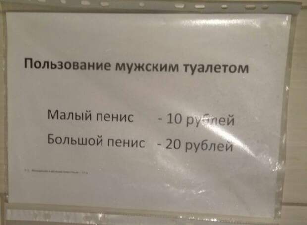 Подборка картинок. Дневной выпуск (50 фото)