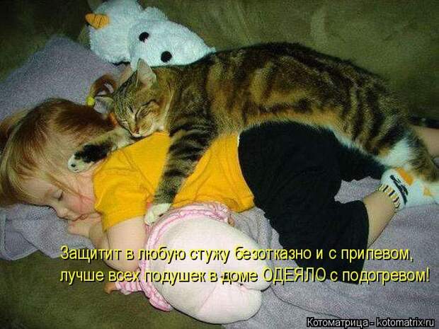 Лучшие котоматрицы недели (50 фото) Лучшие котоматрицы недели (50 фото)