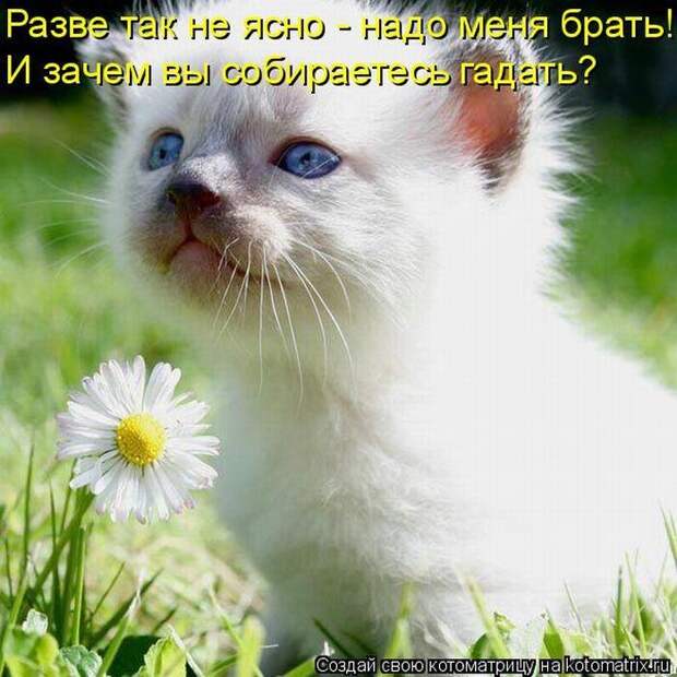 Мысли вслух :)