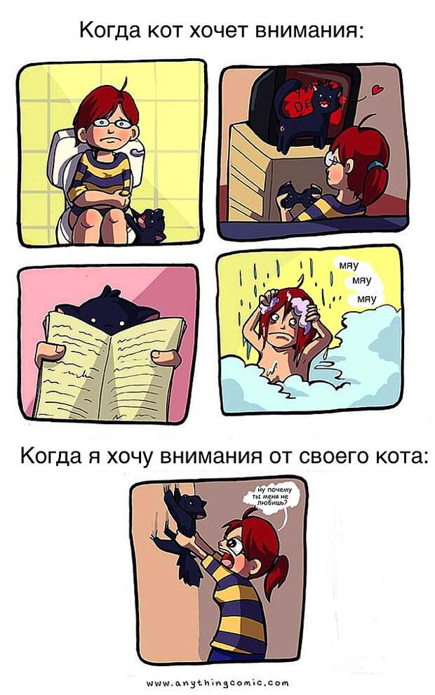Проблемы жизни с котом в забавном комиксе (33 картинки)