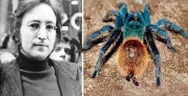 2724c470f270236c7799047b77fb16a6