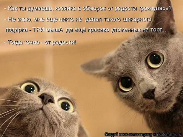 Мысли вслух :)