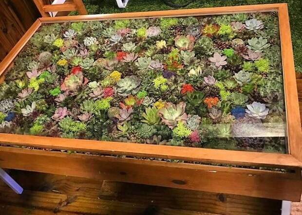 25 столов с «садами» из суккулентов от профессионалов Blooming Tables