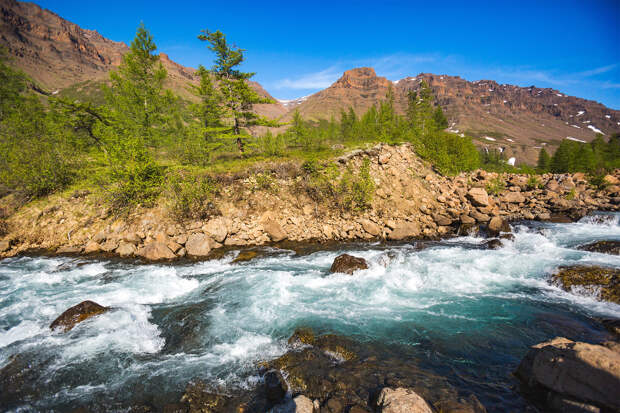 Не умевший плавать молодой человек попытался спасти тонущего ребенка и сам пошел ко дну