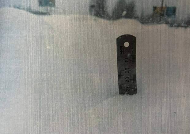 Главы коммунальных учреждений получили штрафы за плохую уборку в Петербурге